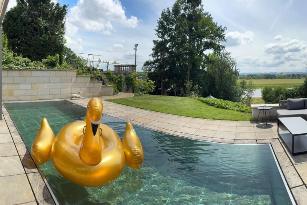 Beheizbarer Pool - Zentral & Modern Mit Elbzugang! Vakantiehuis Dresden
